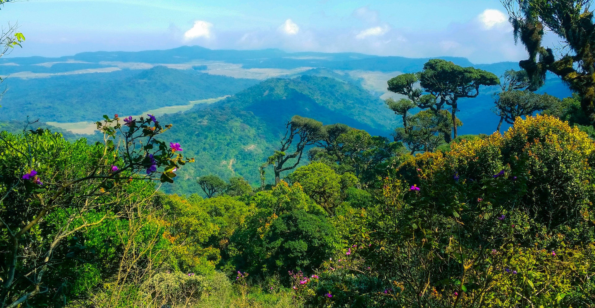 Sri Lanka Tour Package 7 Days & 6 Nights