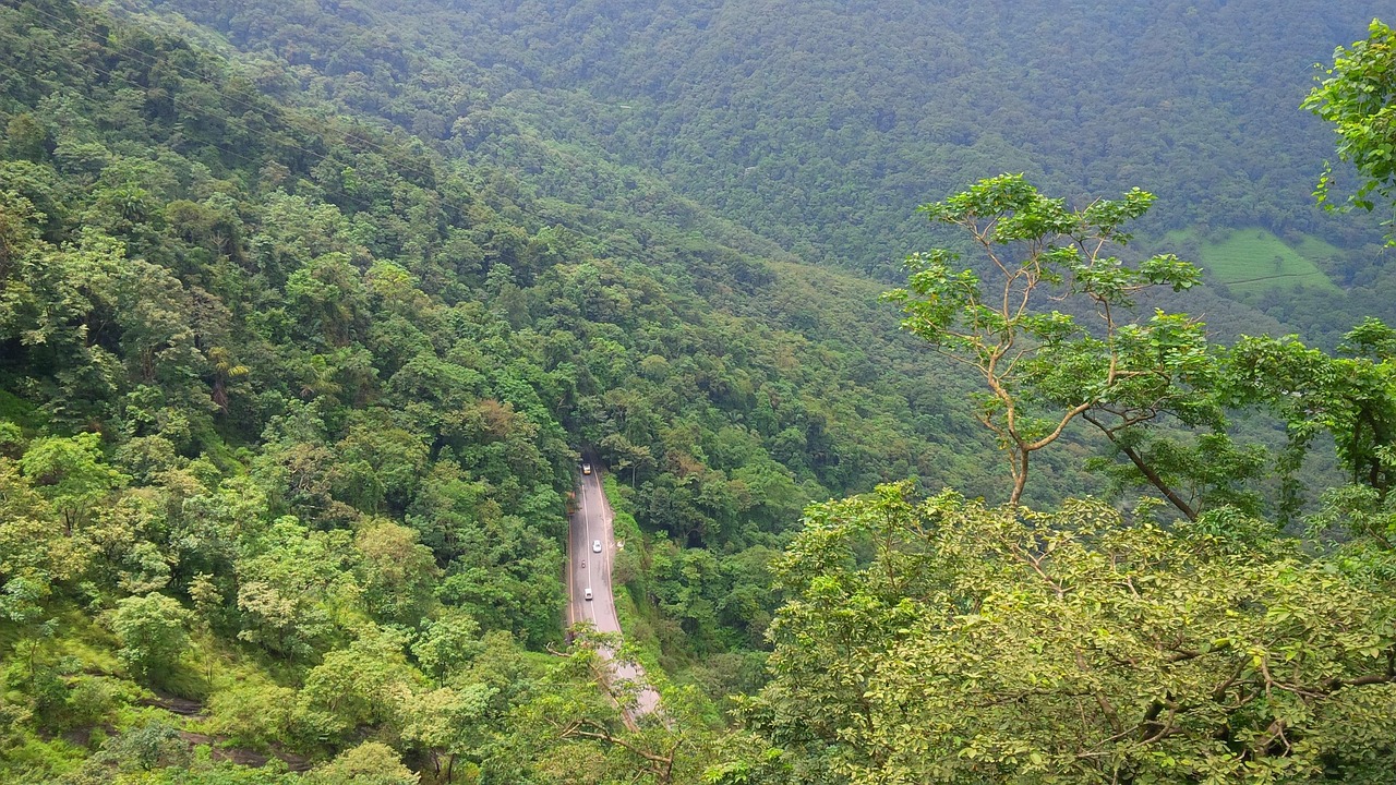 Wayanad Nature Escape – 4 Days / 3 Nights