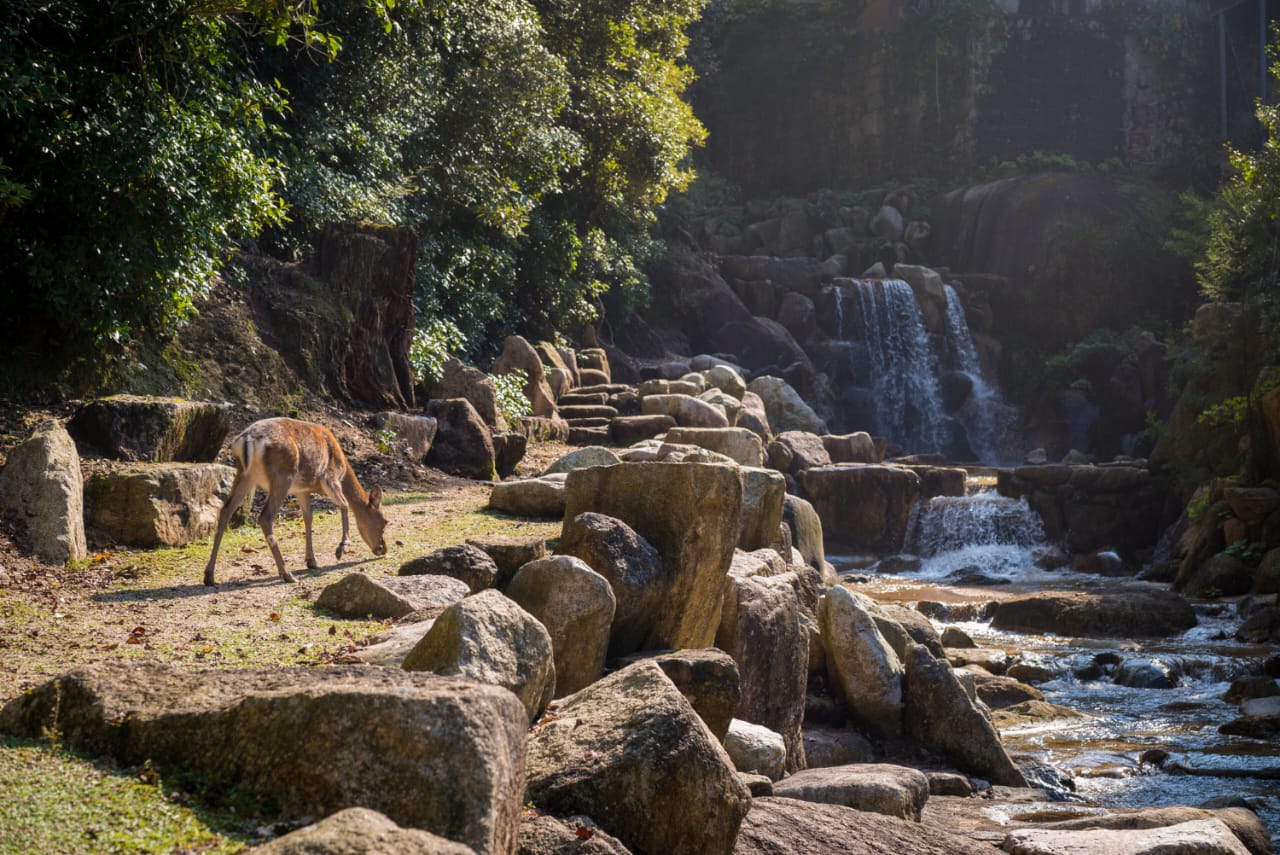 Jim Corbett