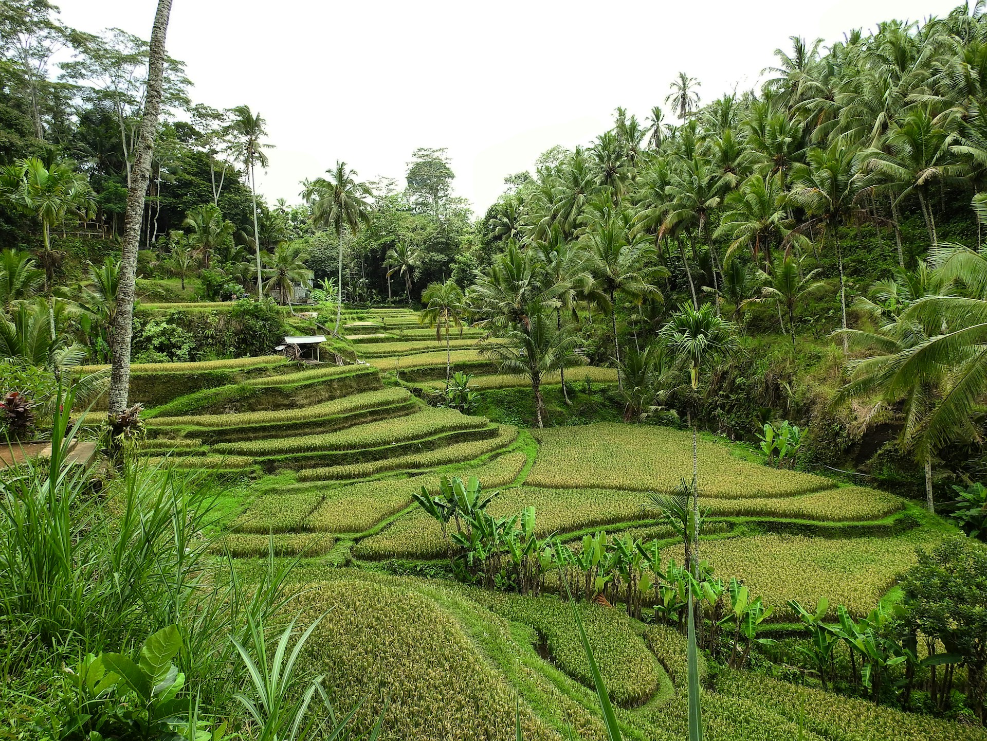 Itinerary Image