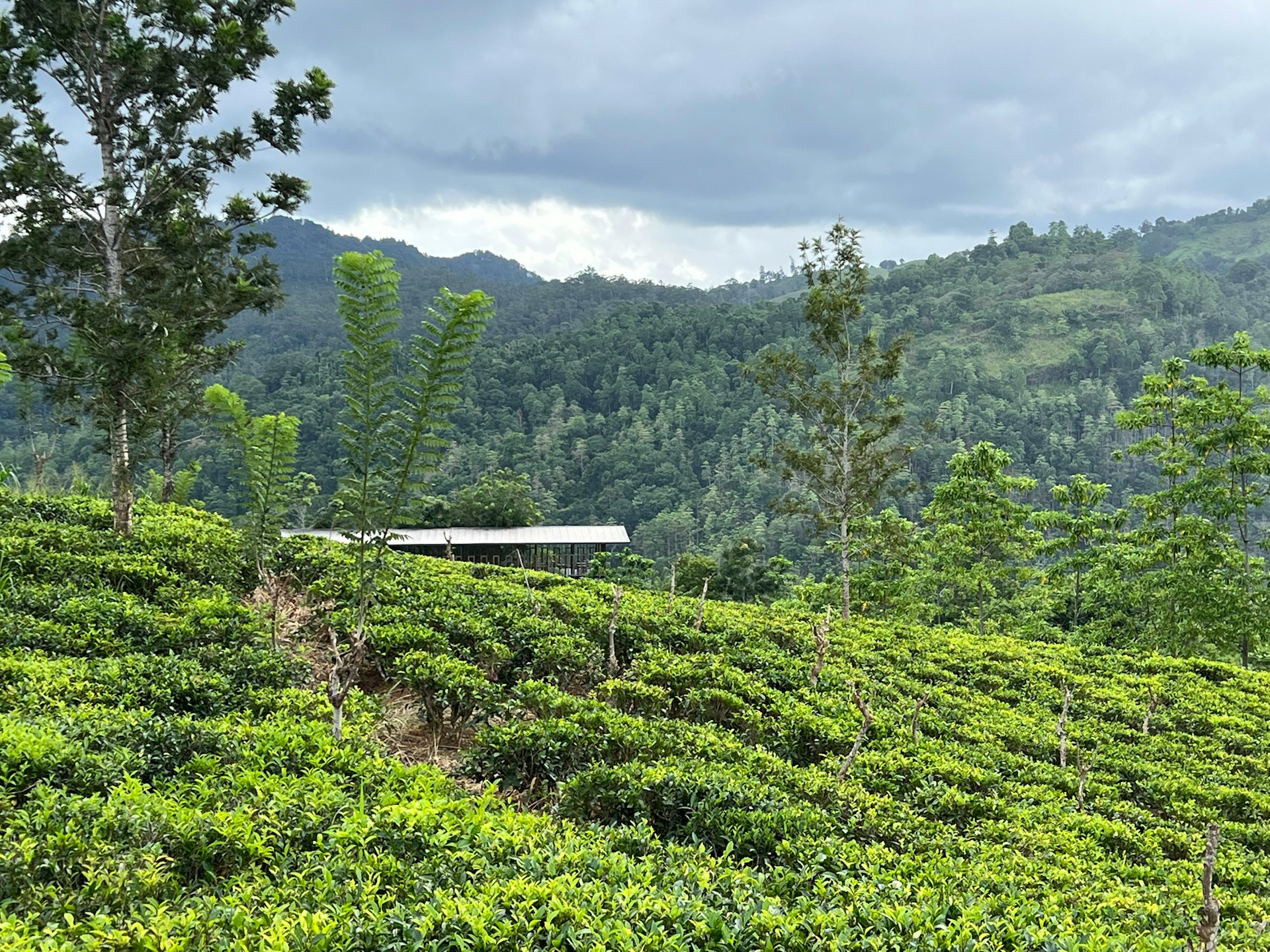 Itinerary Image