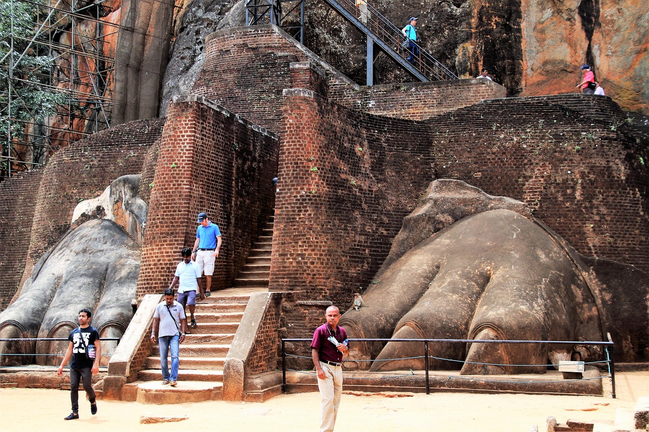 Tour Image