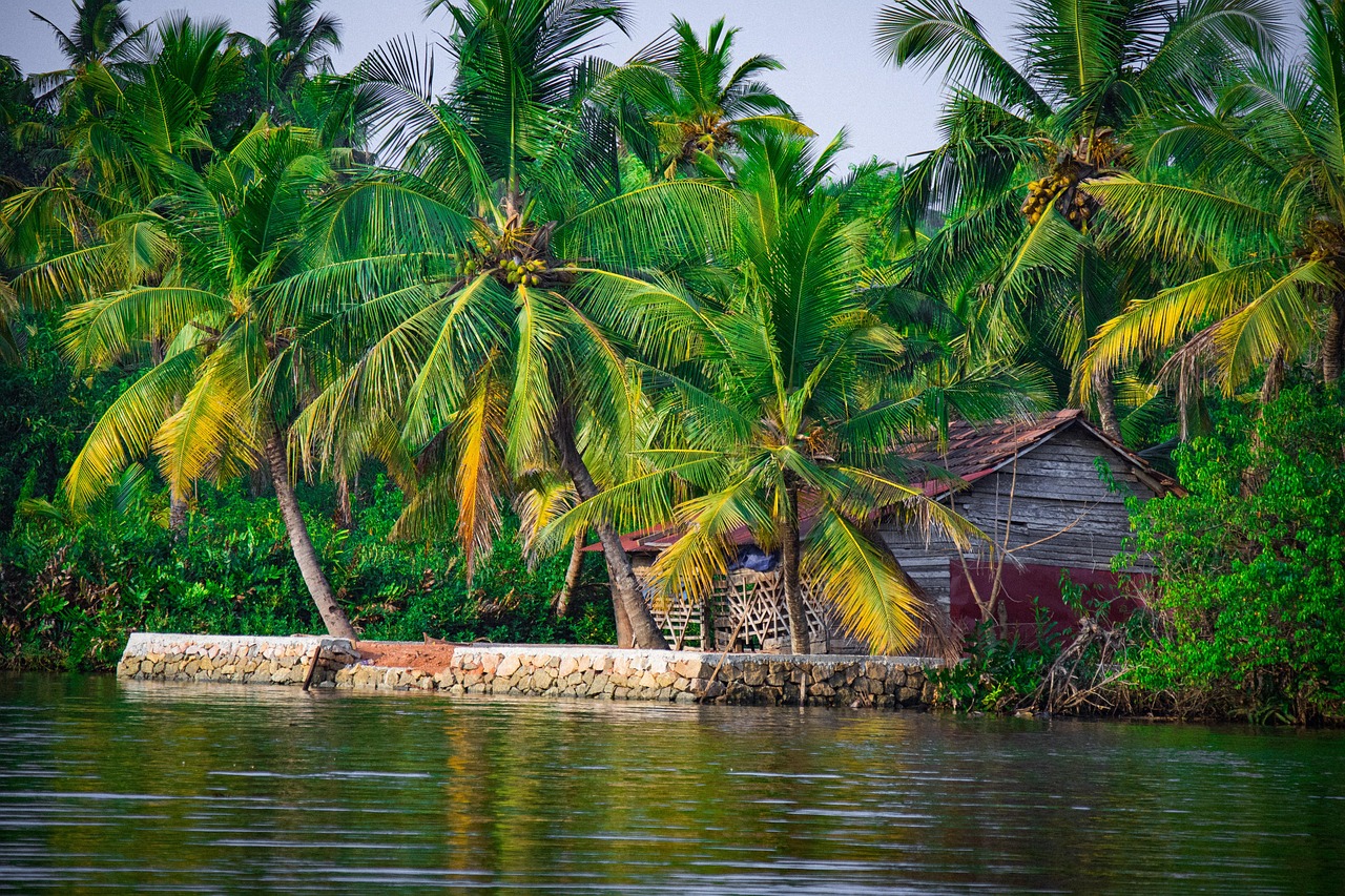 Kerala Serenity Getaway – Munnar & Alleppey (4D/3N)